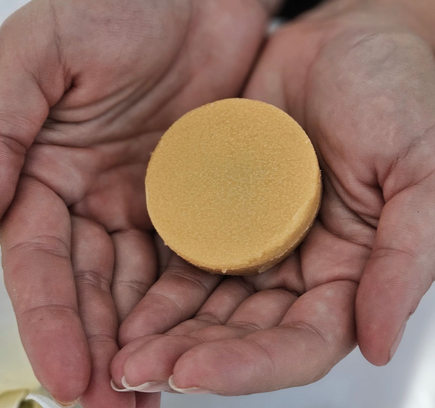 Tallow Lotion Bar